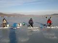 В Самарской области планируют ввести мораторий на лов рыбы тралом В Самарской области планируют ввести мораторий на лов рыбы тралом