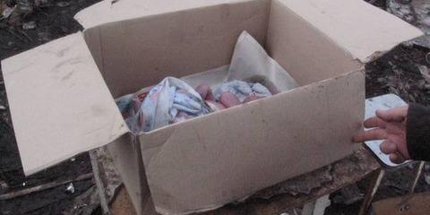 В Тольятти найдена мать выброшенного новорожденного ребенка