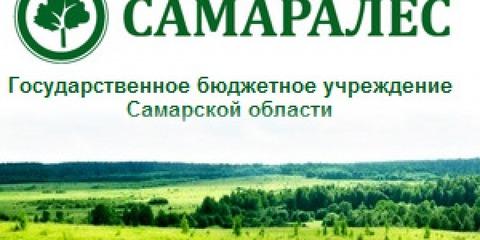 В отношении мастера участка «Самаралес» возбуждено уголовное дело