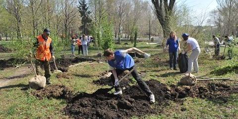 Главы районов Самары возьмут уборку территорий под личный контроль