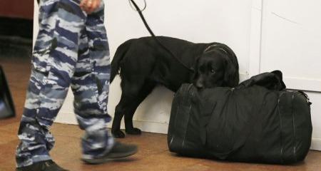 В Новокуйбышевске на вокзале нашли подозрительную сумку