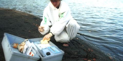 На трех пляжах Самары вода не соответствует санитарным нормам