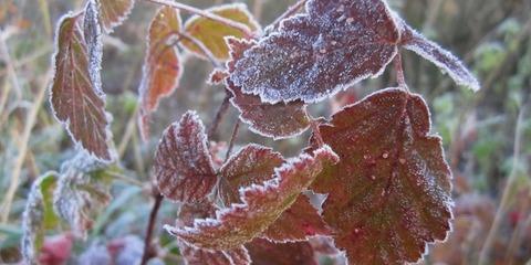 В выходные в Самаре ожидается небольшой снег и до -8°C