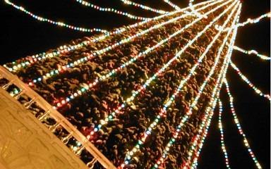 Новогоднюю сосну в Сакмаре установят за 500 тыс. рублей