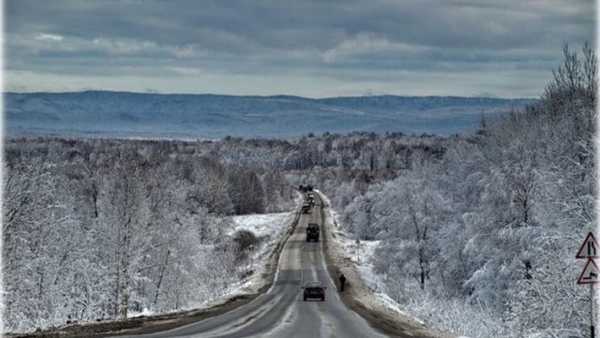 На трассе «М 5 Урал» нашли труп молодого самарца со множественными переломами