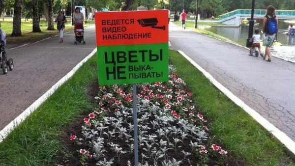 В самарских парках высадят однолетние цветы на 10 млн рублей