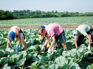 Самарским подросткам найдут работу на лето