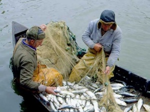 В Самарской области изъяли у браконьеров 10 тыс. тонн рыбы и раков