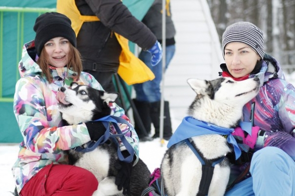 На лыжной базе «Чайка» прошли гонки на ездовых собаках, фоторепортаж