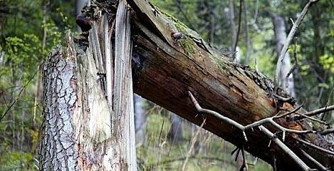 Самарец в пьяной драке до смерти избил приятеля лопатой