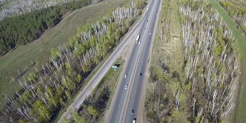 В Самарской области выполнен план по весеннему лесовосстановлению