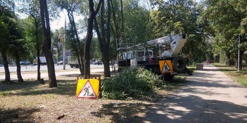 В Самаре на набережной установят 8-метровый памятник князю Засекину