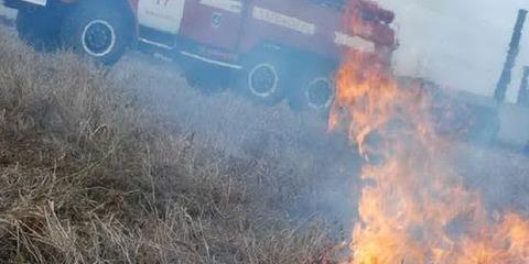 В лесах Тольятти из-за жары участились пожары